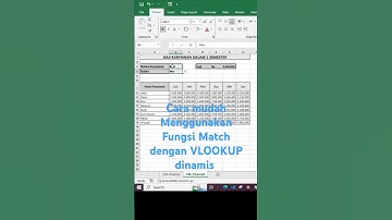 Cara Mudah Menggunakan Fungsi match dengan VLOOKUP dinamis  #exceltips #belajarexcel