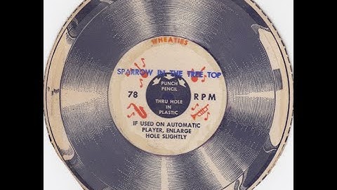 Wheaties cereal box record: Sparrow in the tree top