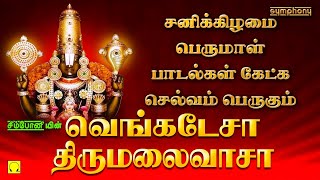 Download Lagu சனிக்கிழமை இந்த பெருமாள் பாடல்கள் கேட்க செல்வங்கள் சேரும் | Saturday Spl Venkatesa Thirumalaivasa MP3 Download Lagu சனிக்கிழமை இந்த பெருமாள் பாடல்கள் கேட்க செல்வங்கள் சேரும் | Saturday Spl Venkatesa Thirumalaivasa MP3