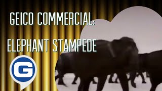 Geico Direct Commercial  Elephant Stdanede 199495
