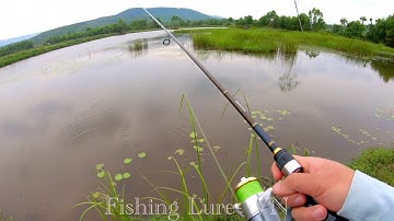 Lure Ca Loc: Nhái hơi Hunter V4, táp là đóng | Fishing Lure - VN