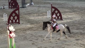 2025年全國障礙超越錦標賽(積分第3站) 積分賽  迷你馬組－交叉桿級 蔡知庭