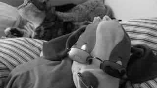 Watch Dirty Pretty Things Gin  Milk video