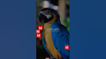 يا سبحان الله.    ما تيسر من سوره الحج/ بصوت القارئ ياسر الدوسري.   #اكسبلور
