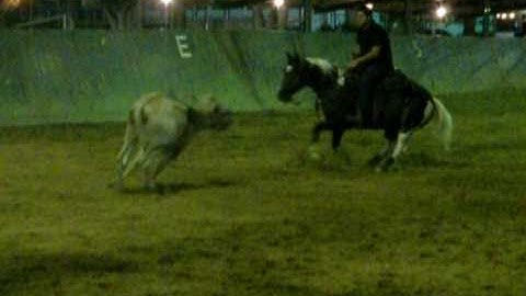 When Cats Fly by High Brow Cat 3