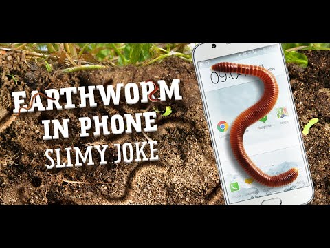 Earthworm in phone slimy joke