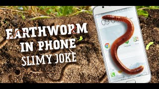 Earthworm in Phone slimy joke - Android entertainment app screenshot 5