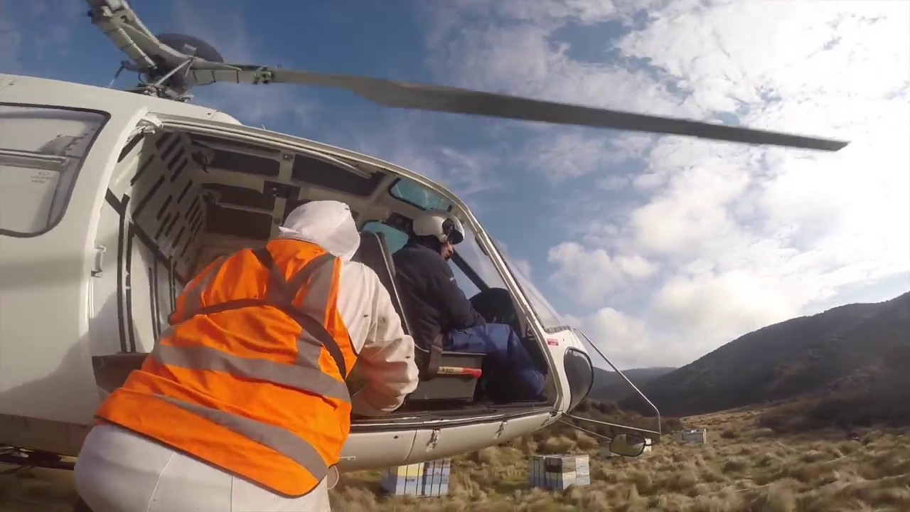 Beehives 2014/15 Helisika