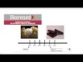 Understanding Fat Packing and Chocolate Phase Diagrams