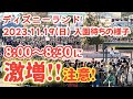 【速報❗】2023.11.19(日)　【ディズニーランド】　入園待ちの様子　8:00〜8:30　【待機列激増】　並ぶ時間にご注意❗　【気ままに大人ディズニー】