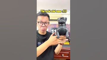 Unbox p.192: Yêu chó thì chắc chắn sẽ thích 🤪 #ghiendaphop #dcgr #unboxing #unbox #LearnOnTikTok #