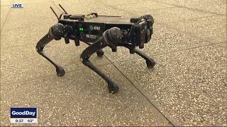 This high-tech robotic dog can't be knocked over
