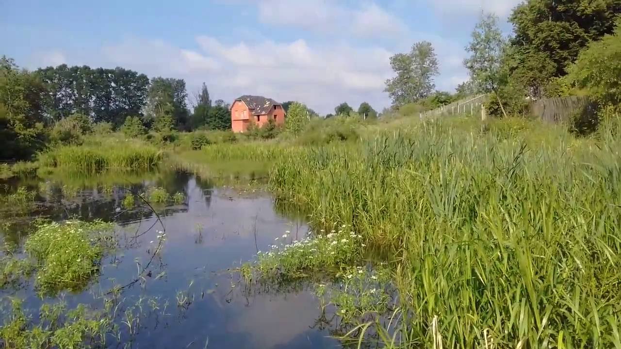 Ярославская область река устье Ярославская область река устье