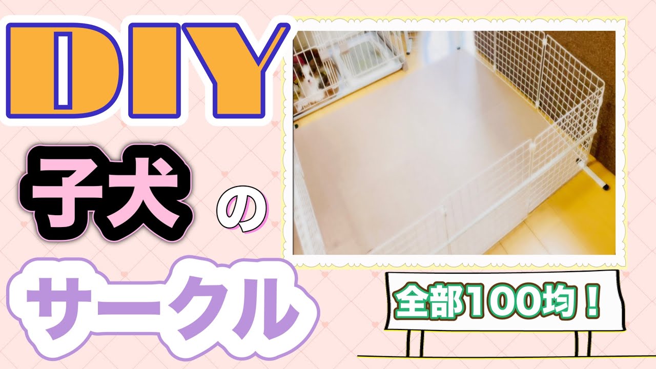 100均だけで子犬のサークルを手作りしてみた パピヨン 子犬 We Have Created A Circle For Puppies Youtube