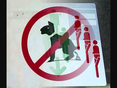Cartelli stradali da ridere [1] - YouTube