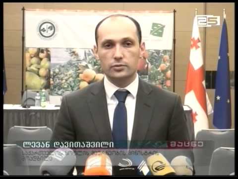 სოფლის მეურნეობის სამინისტრო ციტრუსის სეზონს აჯამებს