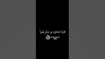 ماهر المعيقلي - سورة المائدة ( برواية حفص عن عاصم ) الأية 79