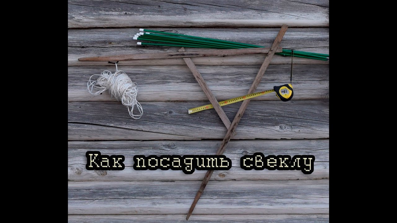 Посадить в колодки