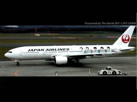 アイドル 20th ARASHI THANKS JET Amazon.co.jp: 嵐 嵐jet 20th ARASHI THANKS JET JAL TTV05
