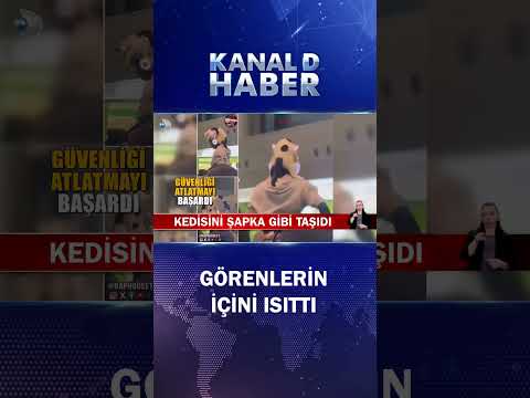 Kedisini Şapka Gibi Taşıdı, O Anlar Büyük İlgi Gördü