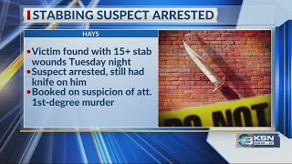 Victim stabbed at least 15 times in Hays attack