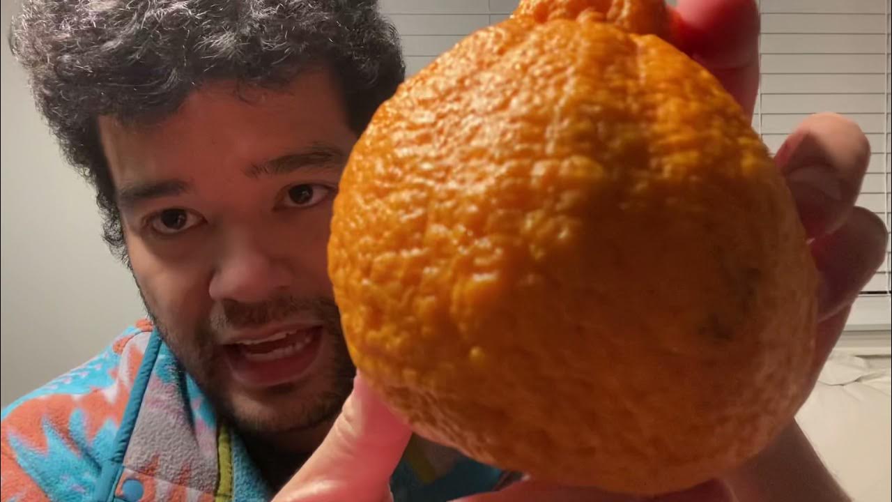 Fruit of the Week! The Sumo Orange - The Art of Doing Stuff