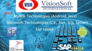 Vision Soft International, IT Training and Staffing screenshot 5