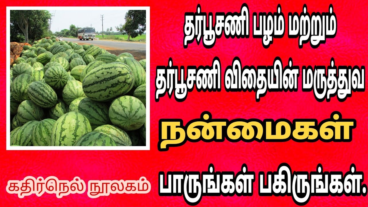 தர்பூசணி பழத்தின் நன்மை தமிழ் Watermelon Benefits In Tamil