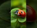 Tiny heroes of the gardens #facts #wildlifeentertainment #nature