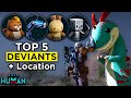 Must Have Early Game Deviants to Automate your Base - Once Human Tips and Tricks