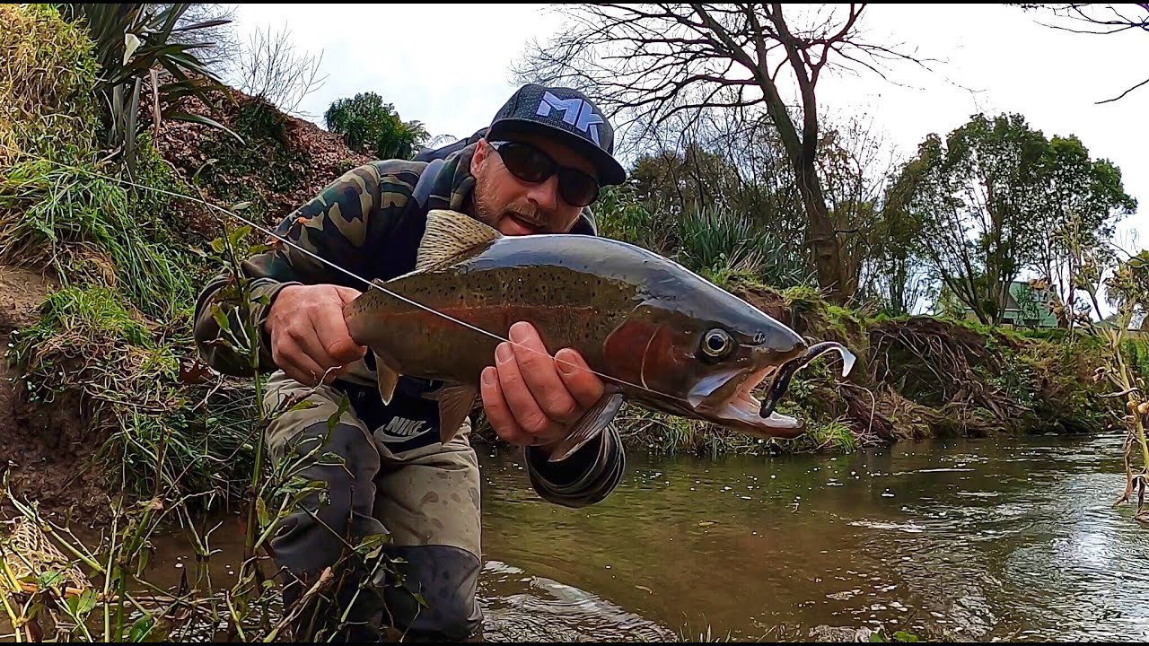 Trout fishing with soft plastics everything you need to know 