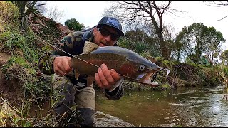 SOFT PLASTICS TROUT [how to catch trout on lures] screenshot 5