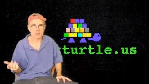 The Transitional Turtle