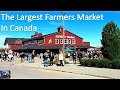 THE LARGEST FARMERS MARKET IN CANADA | ST. JACOBS FARMERS MARKET WATERLOO ONTARIO CANADA