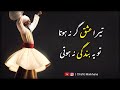 Tera ishq agar na hota  qawwali  mehboob mian miri qawwal  sufism  lyrical