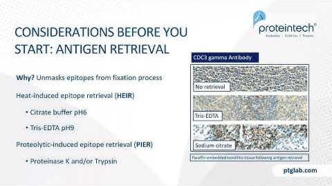 Immunohistochemistry Refresher Webinar