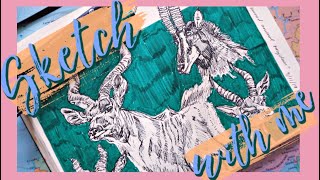 Sketching African Antelopes // sketch with me!