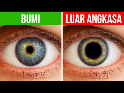 Bagaimana jika Manusia Tinggal di Luar Angkasa Selama Jutaan Tahun?