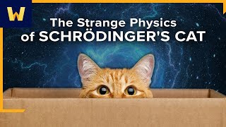 The Strange Science of Schrödinger’s Cat and Quantum Superposition