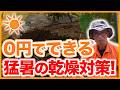 【猛暑対策】0円でできる!土の乾燥を防ぐ方法【シェア畑】【農園ライフ】
