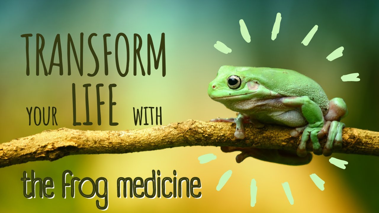 The Benefits of Kambo Why Should You Consider? YouTube