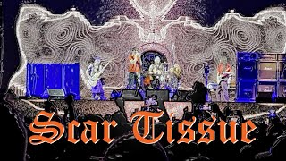 Red Hot Chili Peppers: Scar Tissue LIVE in Phoenix 2023 (VIP seats)