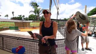 Everglades Alligator Farm & Review