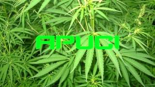 Download Lagu DJ-Apuci |$umákoló$,$zeretkező$,mi$ebort megszentelő$ DORISZNAK $PECIÁLBA| 2k17 mix | MP3