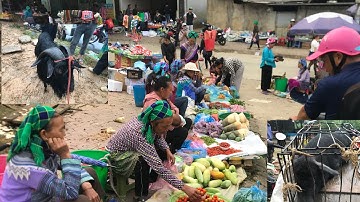 PHÁT Hiện Chợ Phiên Bán Nhiều Dê ,Và Lợn Đen  ,Lợn Cắp Nách Ở Tây Bắc Lào Cai | người vùng cao tv,
