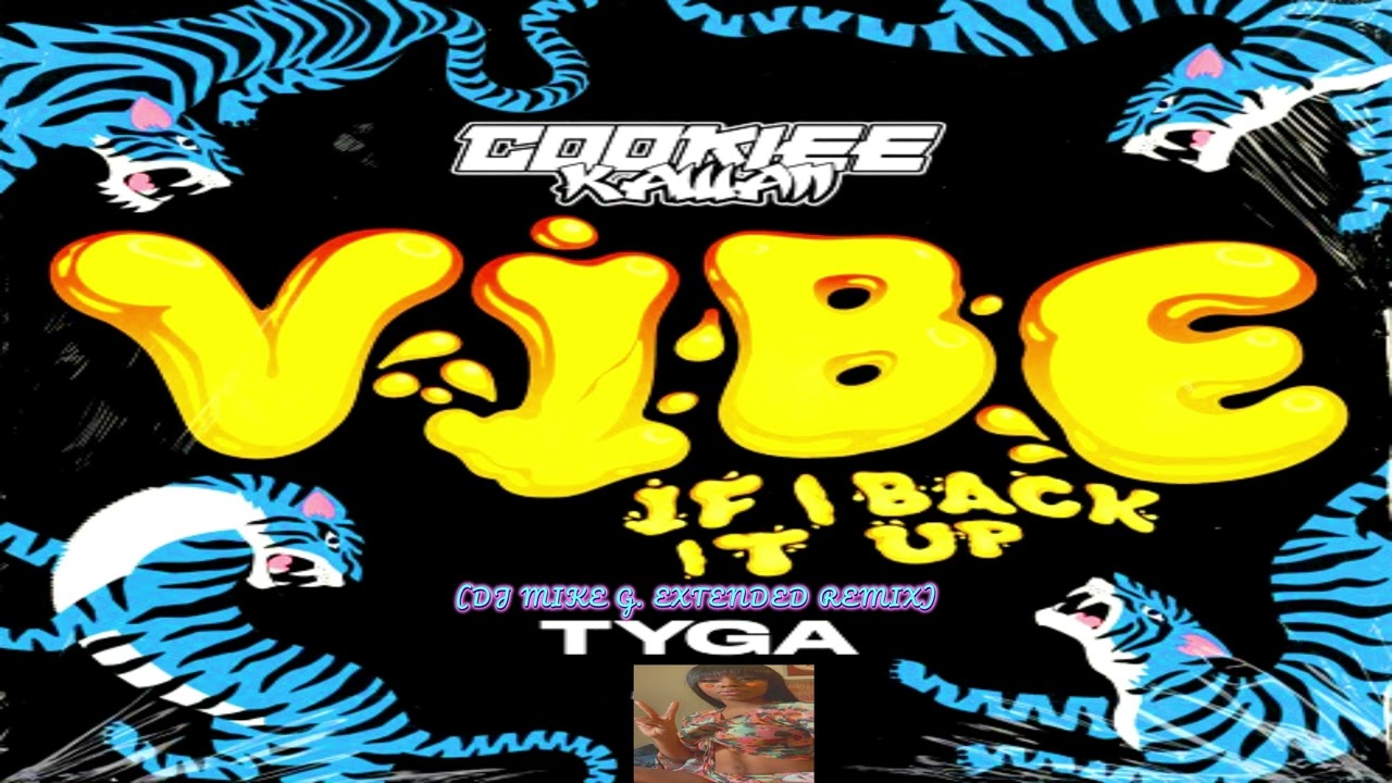 Cookiee Kawaii - Vibe (If I Back It Up) (With Tyga) (DJ Mike G