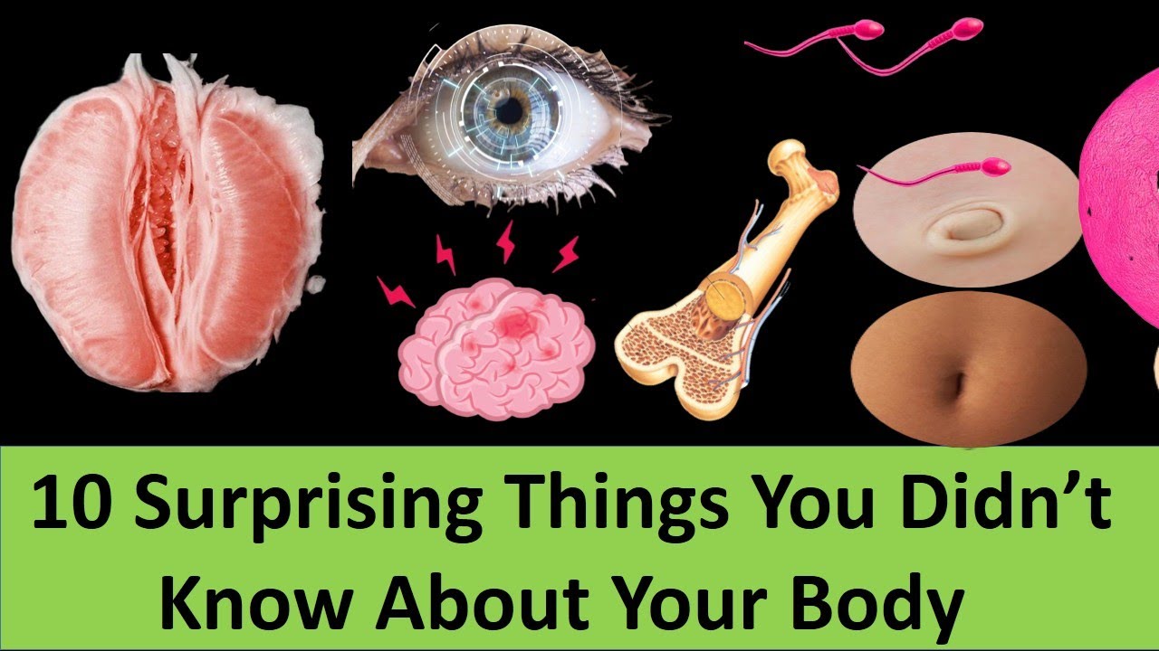 10 Surprising Things You Didn’t Know About Your Body - YouTube