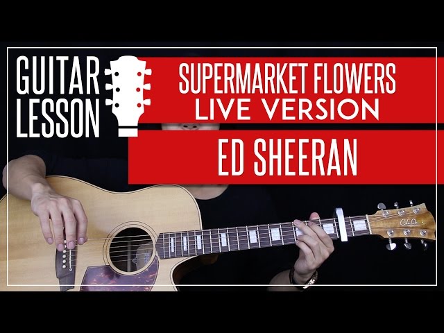 Supermarket Flowers Live Guitar