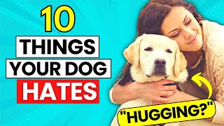 10 Things Your Dog Hates | Hateful Things for Dogs | Makoree Pet Corner by Makoree Pet Corner 34 views 1 year ago 6 minutes, 52 seconds