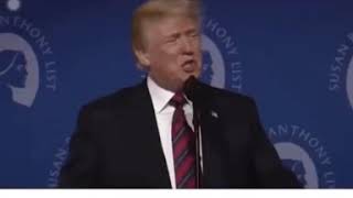 Donald Trump Singing Dance Monkey HILARIOUS MUST WATCH before it gets banned